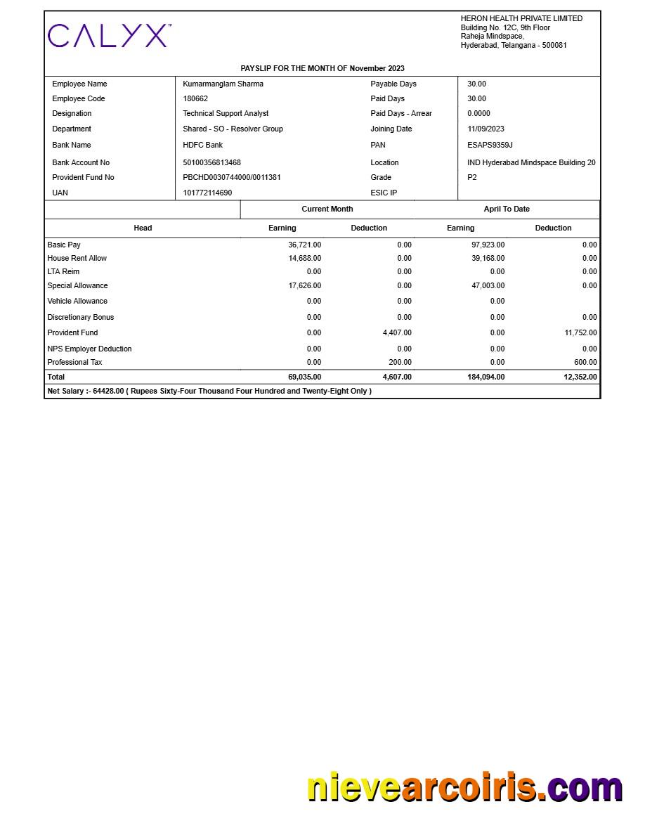 Heron Health payslip